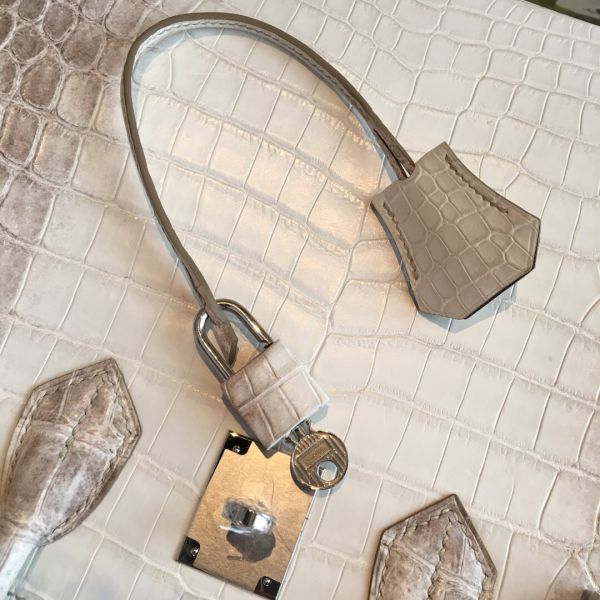 Hermes Birkin 30 Bag In Himalaya Niloticus Crocodile Skin - Image 5