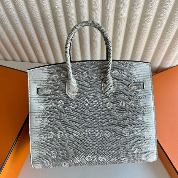 Hermes Birkin 25 Sellier Handmade Bag in Ombre Lizard Leather - Image 8